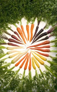 carrots-76653-200×322